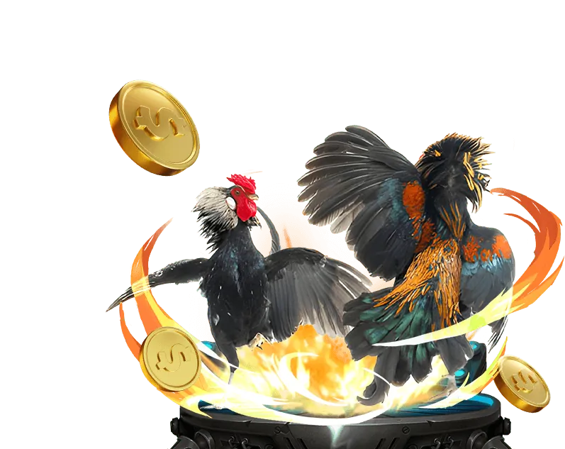 Chiến lược cá cược thể thao st666 win