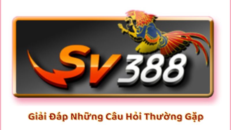 SV388 - Nhà cái cá cược trực tuyến uy tín hàng đầu 