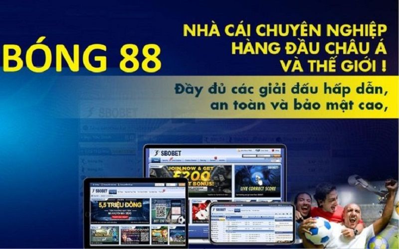 Theo dõi và thống kê những thông tin cần thiết